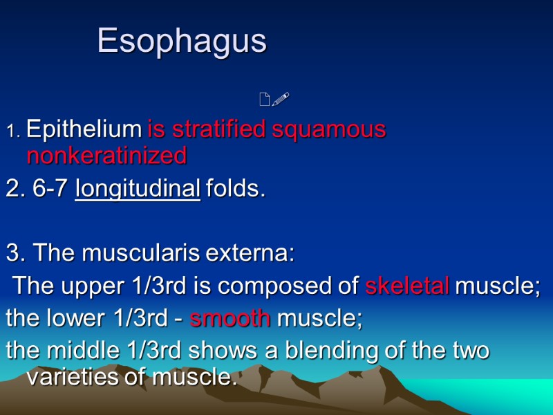 Esophagus   1. Epithelium is stratified squamous nonkeratinized 2. 6-7 longitudinal folds. 